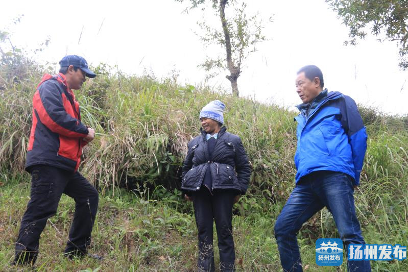 致富种植男子图片_致富种植视频全集_男子种植致富