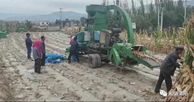 庭院致富项目案例_养殖致富项目 庭院_庭院种养结合致富案例