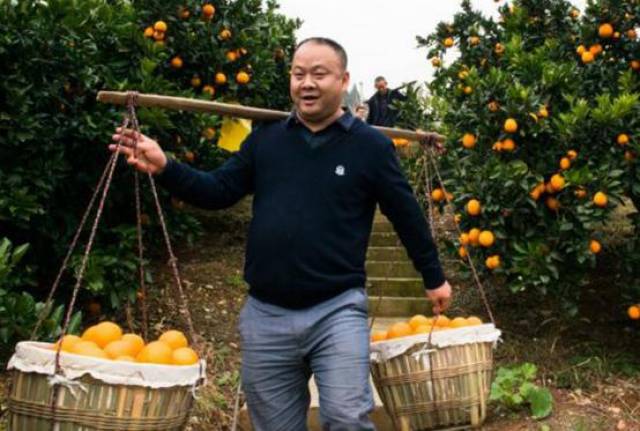 致富种植视频全集_男子种植致富_致富种植男子视频