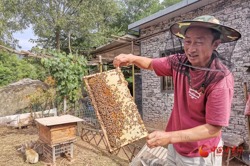 蜜蜂养殖致富增收_养殖蜜蜂成本与利润_蜜蜂致富养殖增收方案