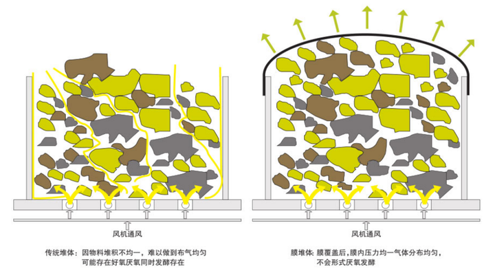 鸡粪养猪怎样发酵怎么配比法_猪粪发酵喂鸡技术_鸡粪发酵养殖猪技术