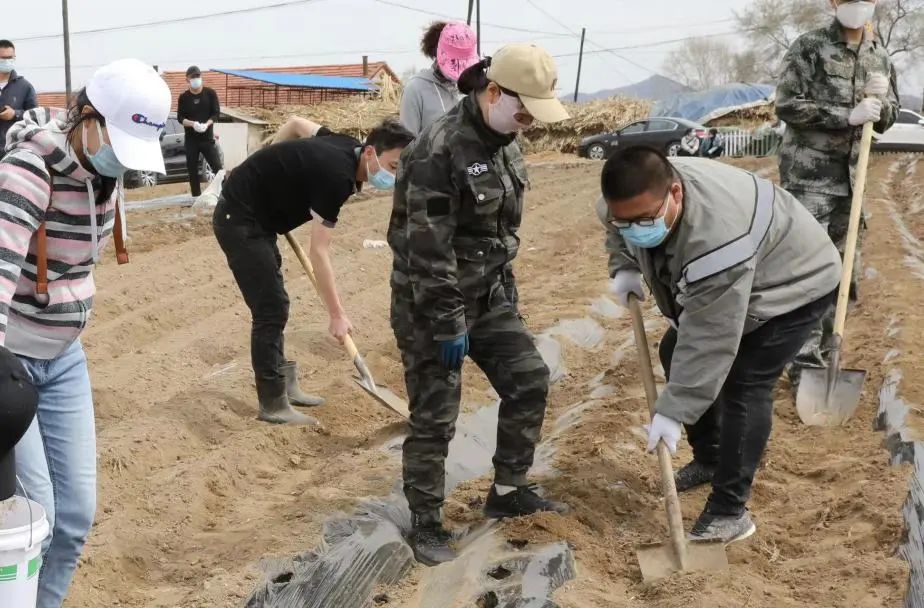 红梅养殖技术视频_红梅的养殖技术_红梅养殖技术与管理