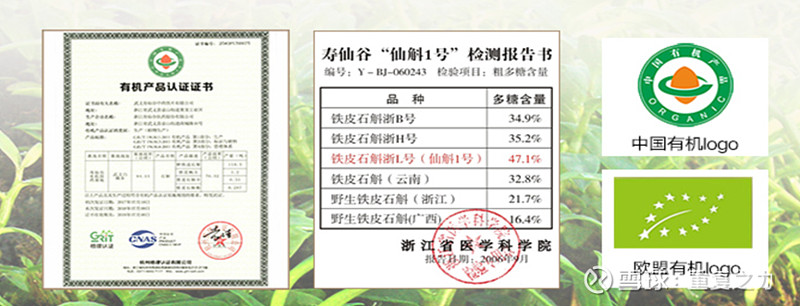 种植石斛收益怎么样_致富经石斛种植_致富种植石斛视频