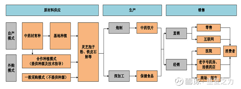 种植石斛收益怎么样_致富经石斛种植_致富种植石斛视频