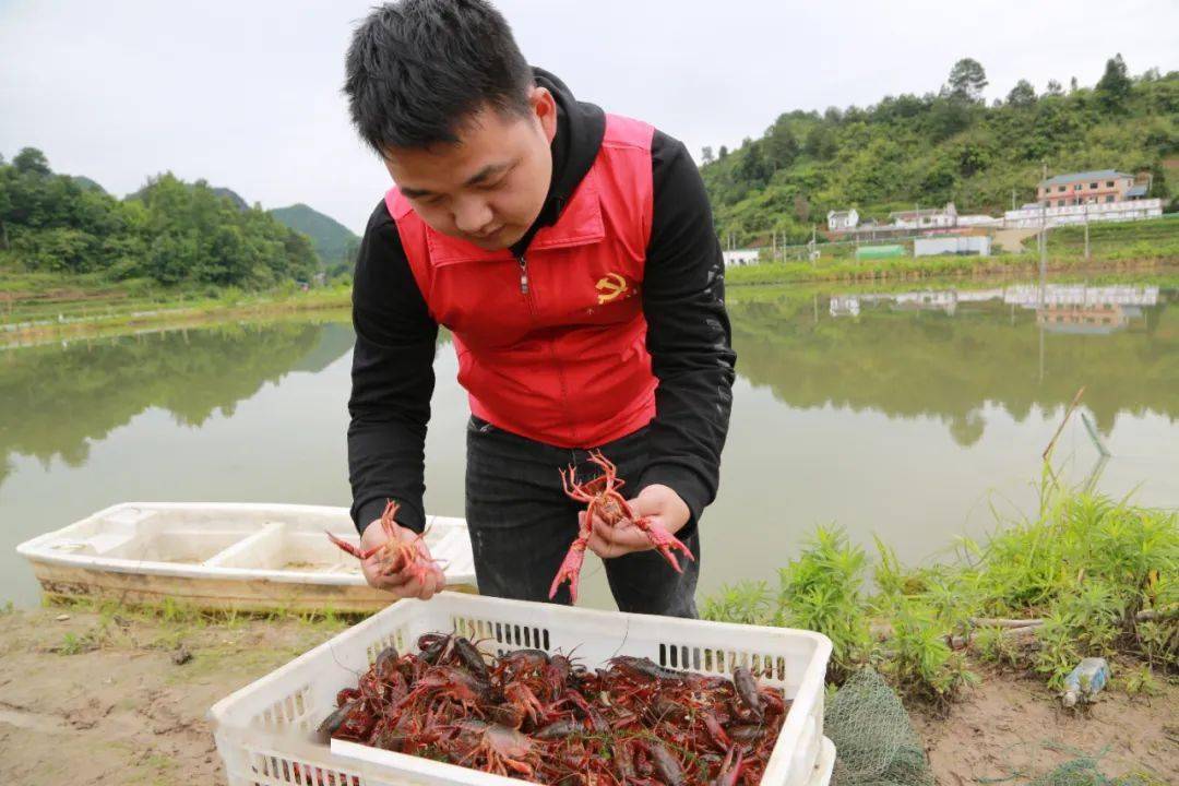 致富经邓红九_致富经邓洪久_邓兴龙致富经