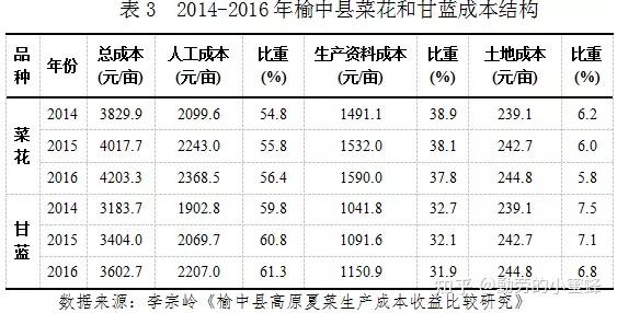 种植什么致富菜_种植蔬菜致富_种蔬菜致富经