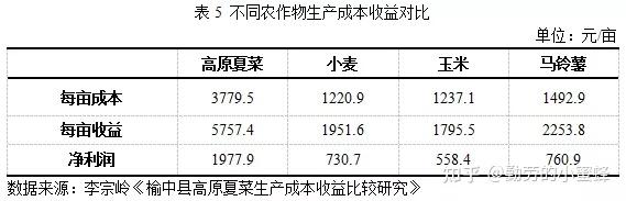 种植什么致富菜_种蔬菜致富经_种植蔬菜致富