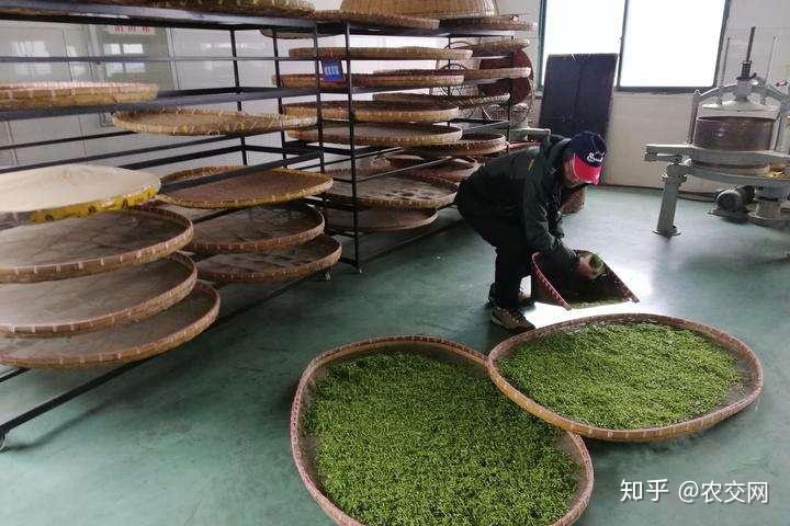 老板们看过来！在农村这4种生意非常火爆，但别占用设施农业用地