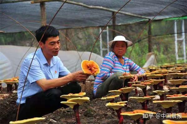 “让更多人富起来是我最大的心愿和快乐！”——记共产党员、四川广元市人大代表王钦