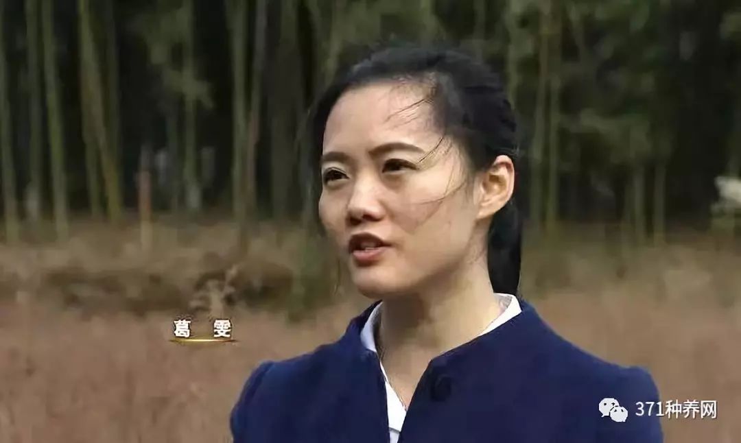 致富经养鸡女孩_致富经养蛋鸡的女人_致富经90后美女养鸡