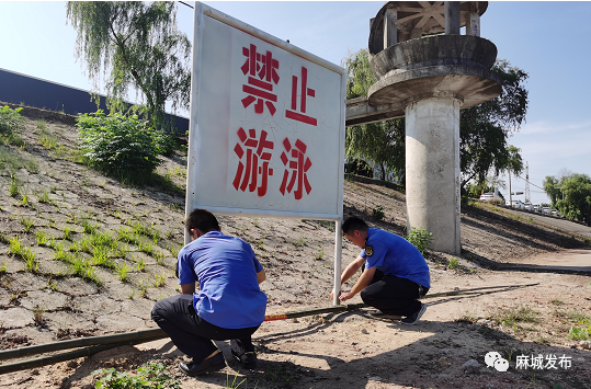 毛木耳种植基地_木耳种植赚钱吗_种植毛木耳致富新闻事件