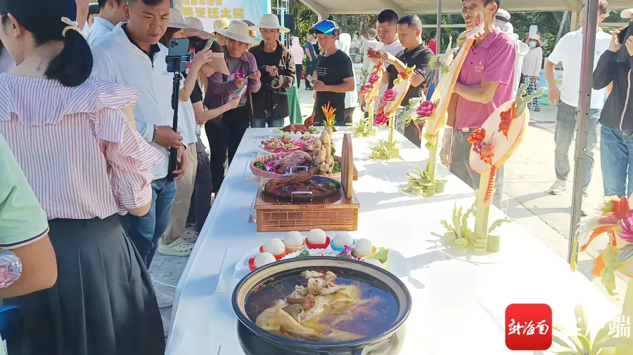 养鸭苗视频_花鸭养殖技术视频_养鸭视频大全