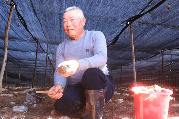 羊和种植致富_致富经养羊技术视频_致富经种草养羊