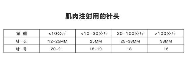 母猪规模养殖技术_母猪养殖效益_养殖母猪规模技术要求