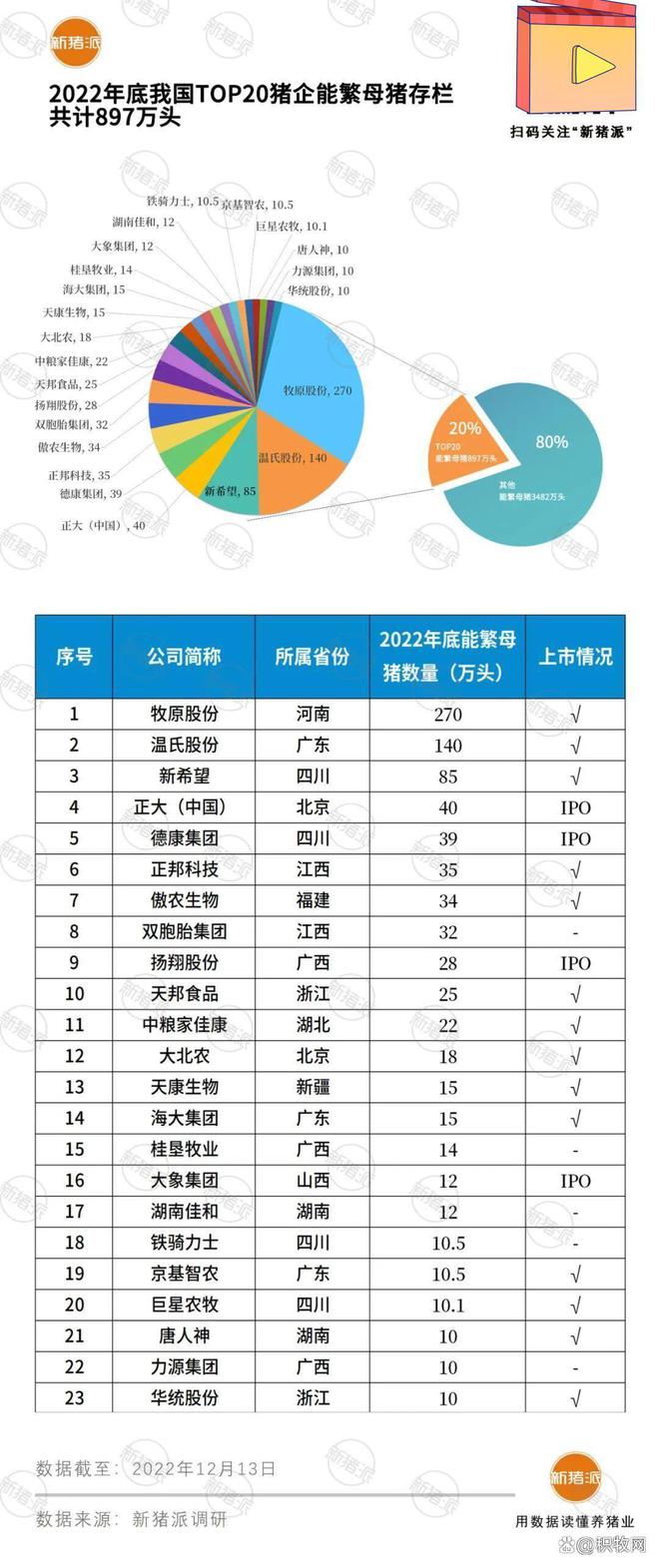 母猪规模养殖技术_养殖母猪规模技术要求_母猪养殖效益