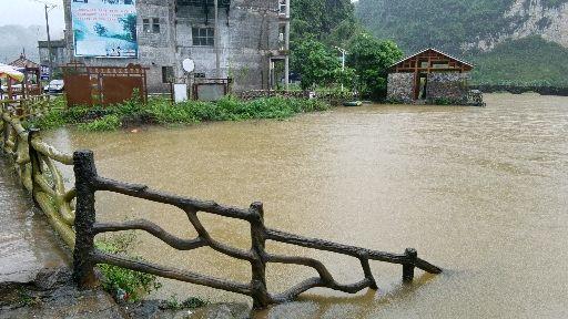 广西都安山羊养殖场_致富经广西都安县养羊_广西都安最大养羊基地