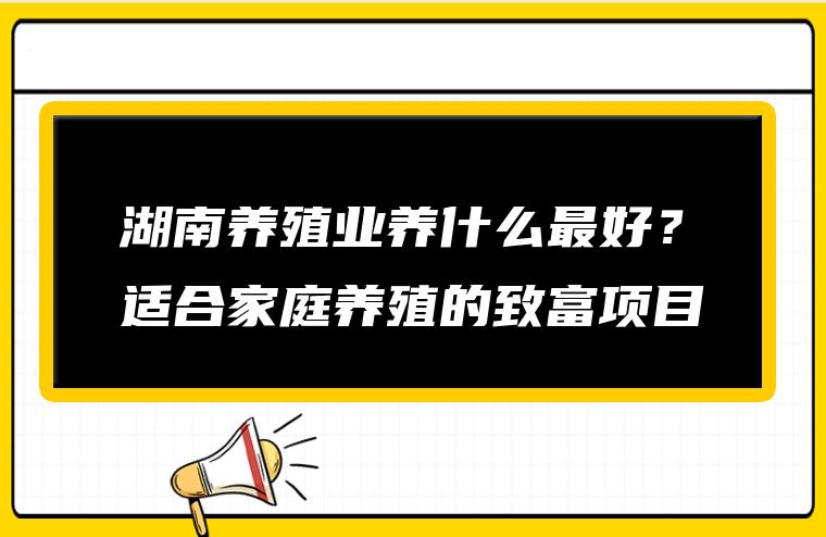 湖南养殖业养什么最好？适合家庭养殖的致富项目