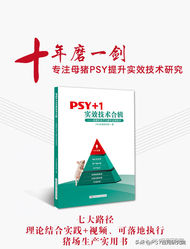 后备母猪养殖技术视频_后备母猪饲养管理视频_怎样养殖后备母猪