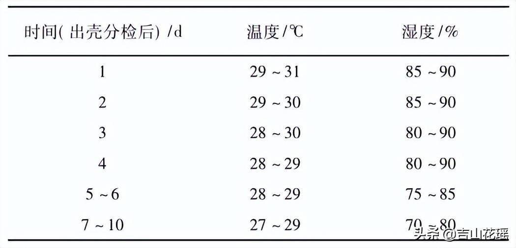 傻半斤的养殖技术_养殖鸡的技术方案_稻田养殖小龙虾技术