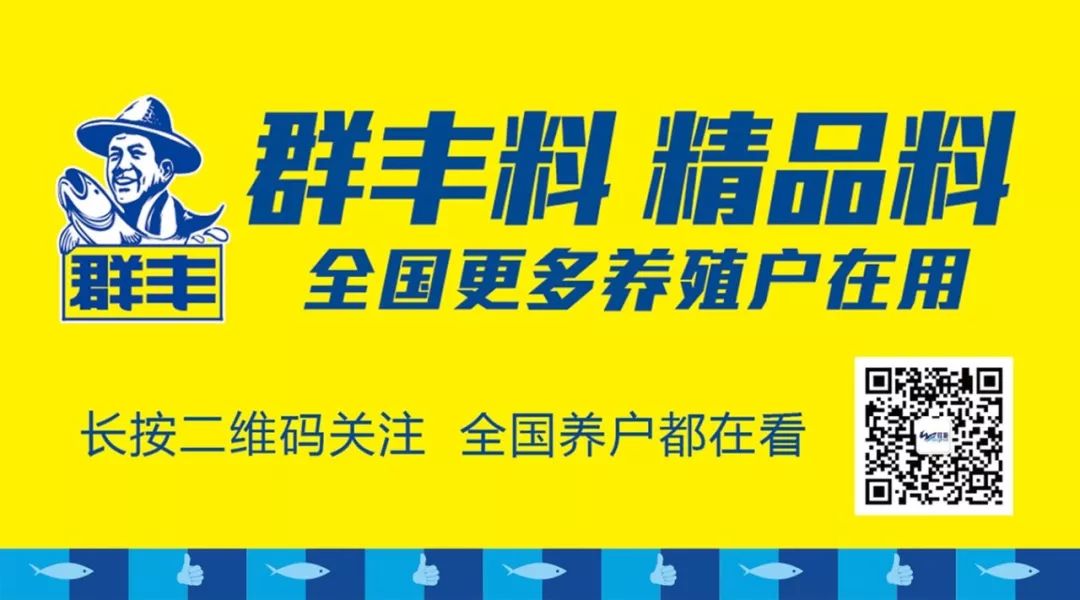 石斑鱼市场分析 | 鱼价探底，背后的原因是什么？2019年价格会怎样？