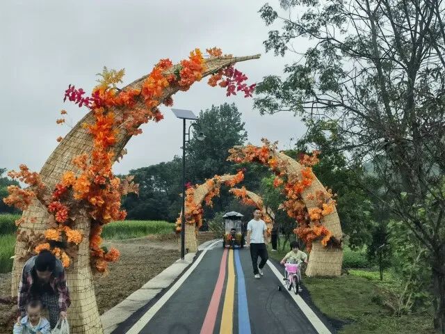 农民致富种植项目_农村种植致富_益阳农民种植致富