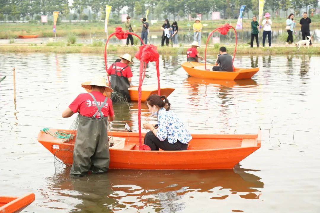 农村种植致富_致富种植农民益阳有补贴吗_益阳农民种植致富