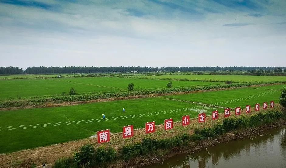 农民致富种植项目_致富种植农民益阳有补贴吗_益阳农民种植致富