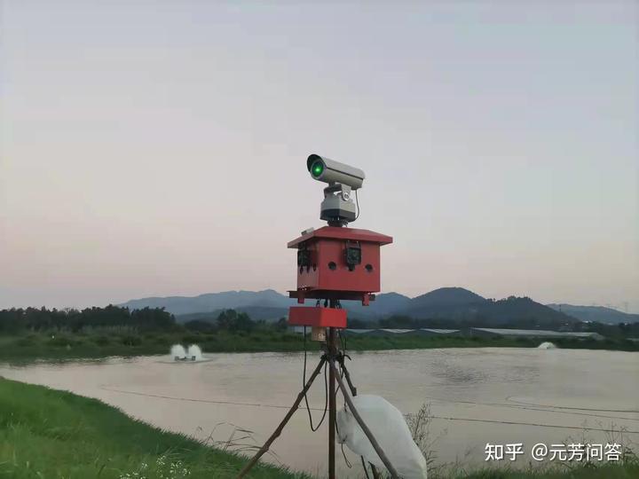 南阳泥鳅养殖_致富养殖泥鳅河南能种吗_致富经河南养殖泥鳅