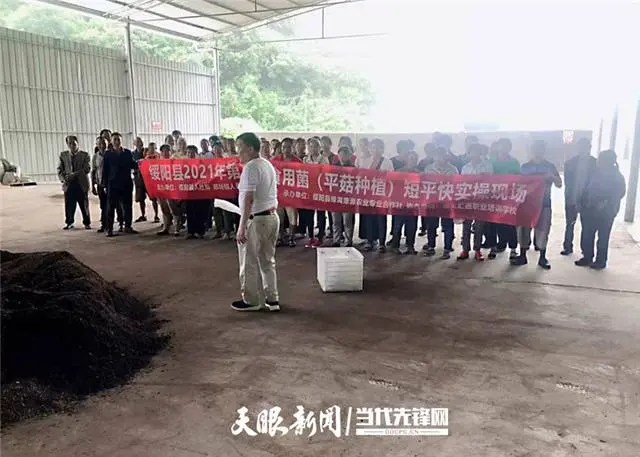 种植基地食用菌技术要求_种植基地食用菌技术规范_食用菌种植技术基地