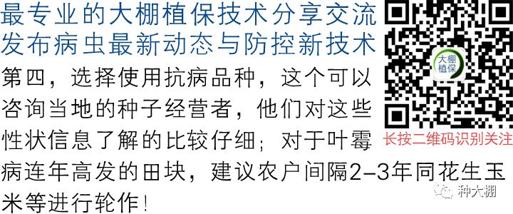 豇豆的种植时间和种植方法_豇豆种植技术与管理_豇豆种植技术相关推荐