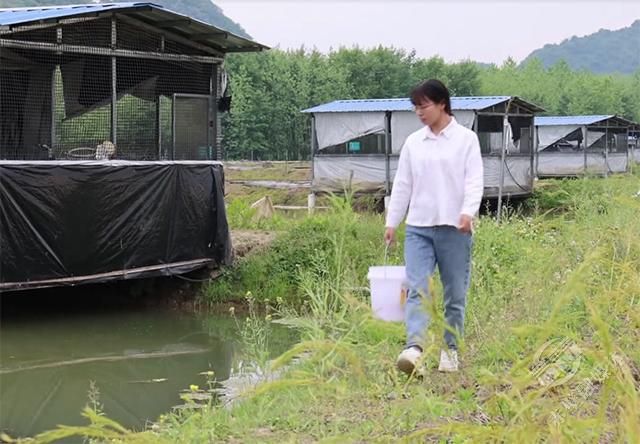 致富稻种植基地有哪些_致富稻种植基地_致富稻种植基地地址