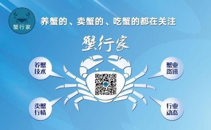 推荐！简单又实用的河蟹养殖技术这里都有 | 安徽、江苏、上海等地蟹苗供求信息