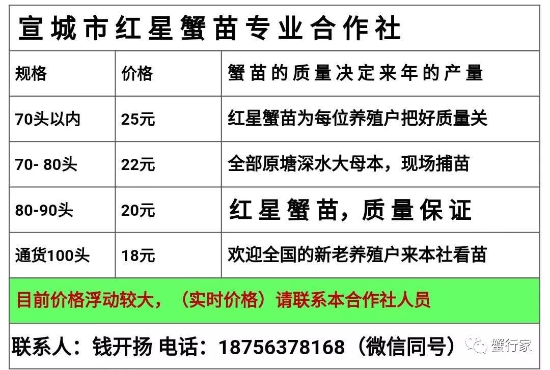 养殖技术简单_养殖简单技术大全_养殖简单技术视频