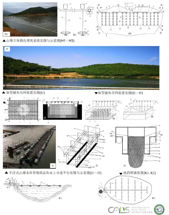 鳡鱼养殖技术_鳊鱼养殖技术百度百科_鳊鱼养殖技术