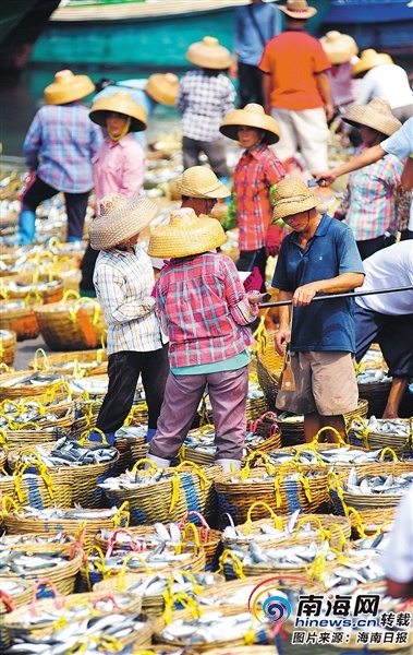 网箱养殖虾蛄技术_网箱养殖对虾_网箱养殖虾是怎样养殖的