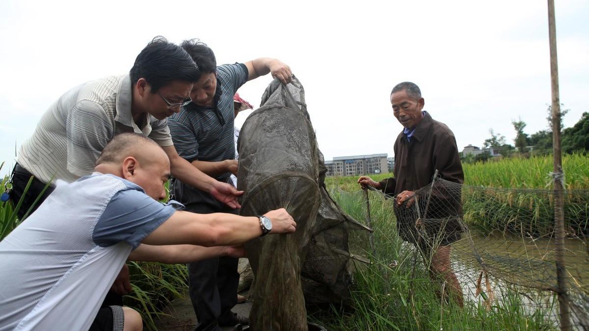 致富养殖业_致富养殖好项目_水中养殖致富项目