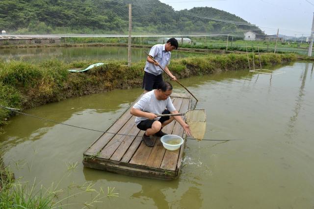 致富养殖好项目_水中养殖致富项目_致富养殖业