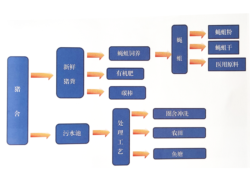 畜禽粪便资源化利用之猪场粪水回用和猪粪养蛆