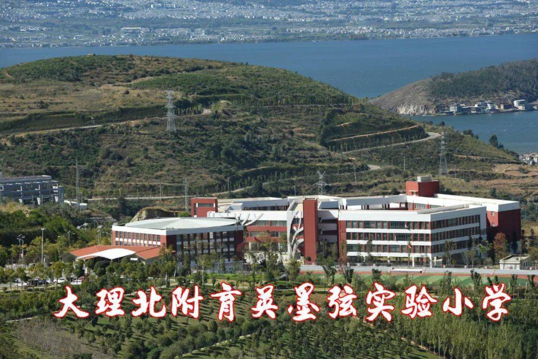 引进优质民办学校的反思与建议_引进民办优质学校经验材料_引进民办学校的好处