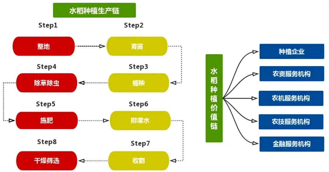 吃了那么多大米，你真的了解水稻产业链吗？（四）