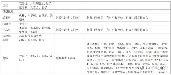 致富经蓖麻种植_致富经蓖麻_种植蓖麻可致富