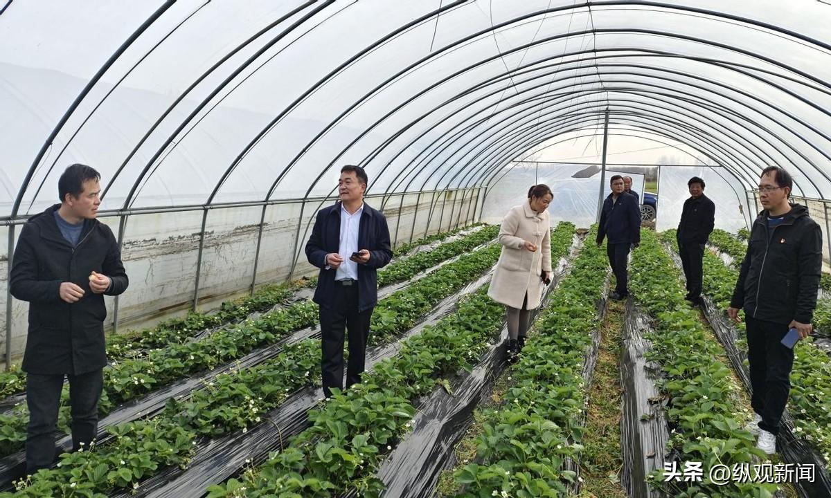 借鉴优质规划经验材料怎么写_借鉴优质规划经验材料_借鉴优质规划经验材料的意义