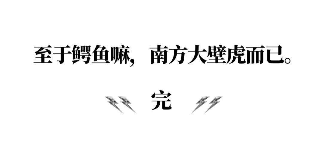 种植芝麻高产技术_小芝麻种植致富_芝麻种植收益