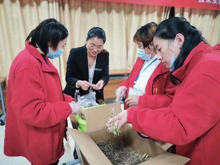 韭菜种植技术致富经_致富韭菜种植技术与管理_致富韭菜种植技术视频教程