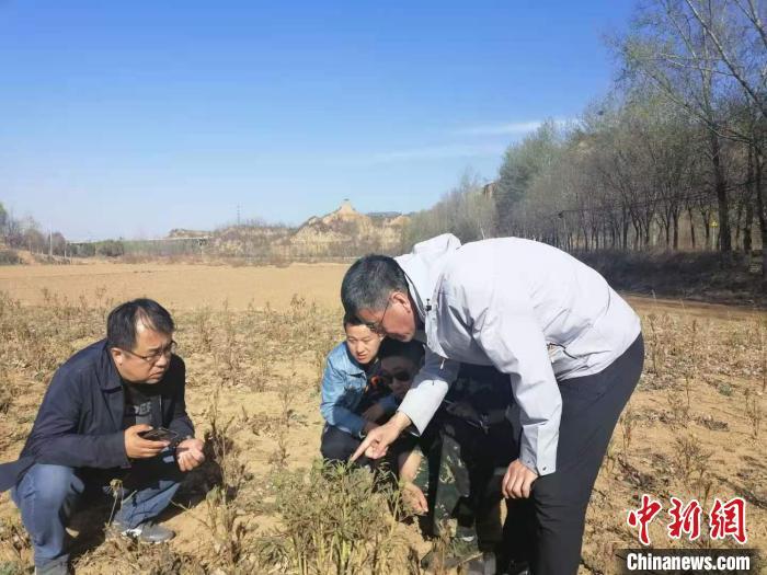 牡丹视频致富种植花生_牡丹的种植视频_致富经牡丹花种植视频