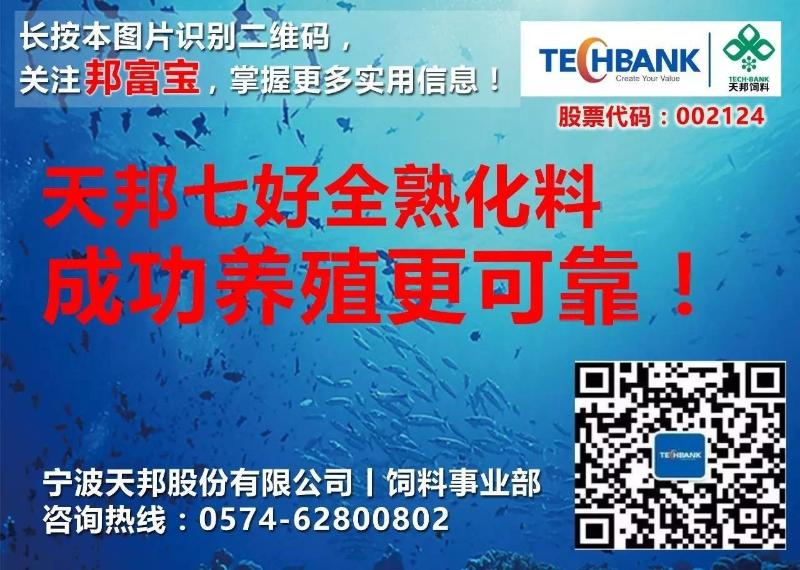 苗种成本占养殖成本的40%！珍珠龙胆标苗的这些细节把控好，降耗增产效益高！