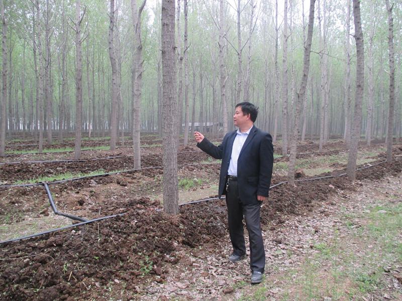 风雨三十“特养路”，念就一篇致富经