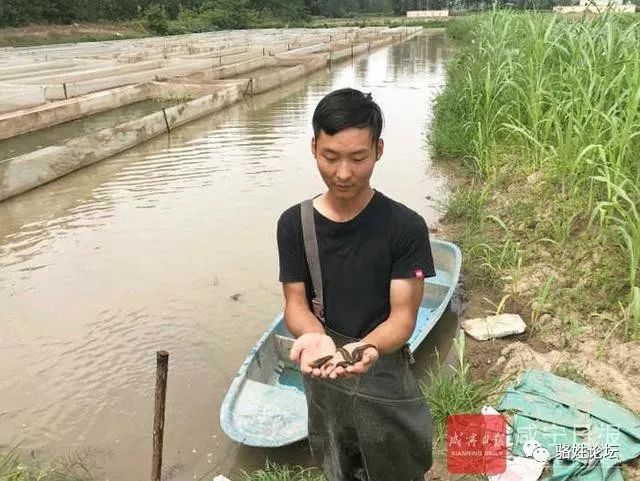 骆仁强：养殖水蛭奔富路