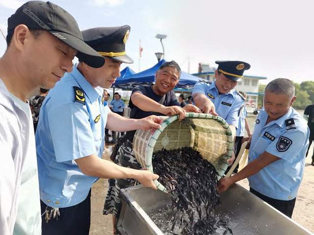 人工增殖放流鳙鱼苗种培育技术