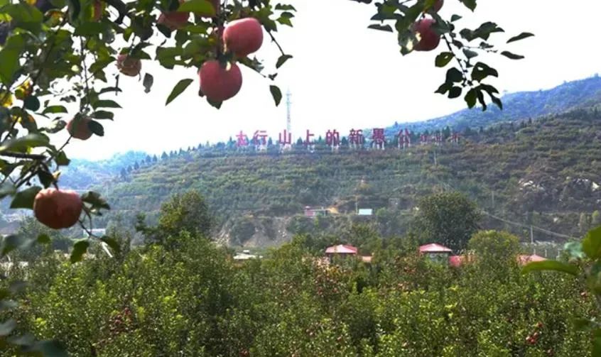 致富经河北保定赵晨_致富经 河北_河北致富项目